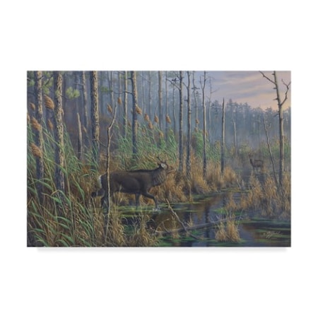 Wilhelm Goebel 'Maryland Sika Deer' Canvas Art,22x32